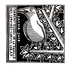 sérigraphie corbeau noir blanc oiseau arbre graphisme linogravure