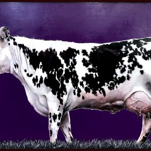 Peinture réaliste d’une vache noire et blanche sur fond violet uni, acrylique sur bois, série Vache icône