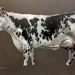 Dessin réaliste d’une vache normande sur fond brun, crayons de couleur sur papier teinté, série Vache icône