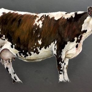 Dessin réaliste d’une vache brune et blanche sur fond gris, crayons de couleur sur papier teinté, série Vache icône