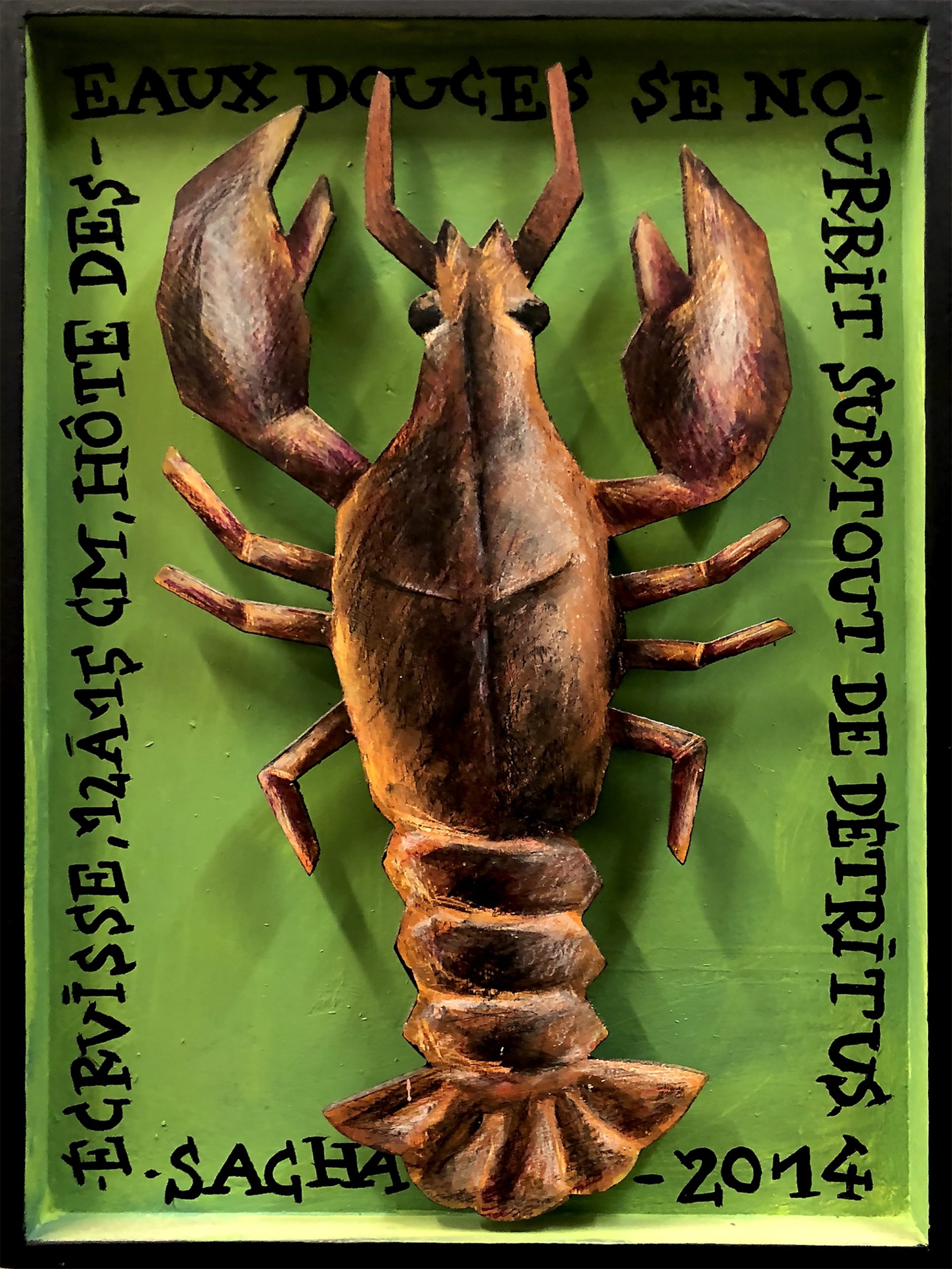 Écrevisse sculptée en bois en relief sur fond vert avec texte scientifique et inscriptions, série Boîtes, 2014.