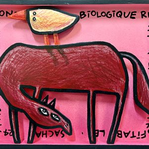 Cheval rouge stylisé portant un oiseau en bois découpé sur fond rose avec texte scientifique, série Boîtes