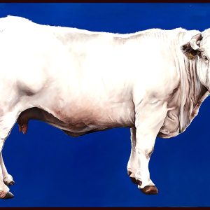 Peinture réaliste d’une vache blanche sur fond bleu profond, acrylique sur bois, série Vache icône