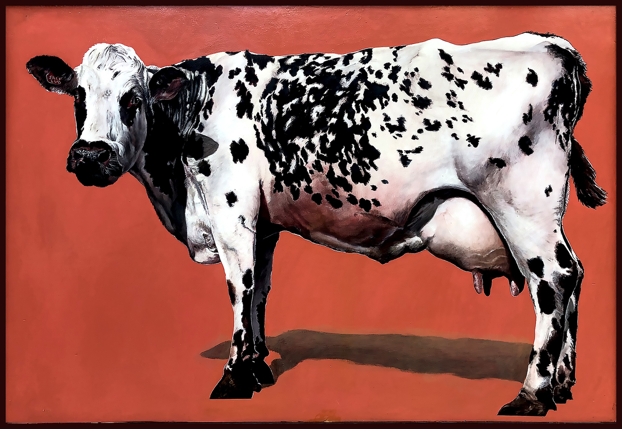 Peinture réaliste d’une vache noire et blanche sur fond orange uni, acrylique sur bois, série Vache icône
